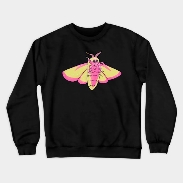 Rosy maple moth Crewneck Sweatshirt by 2dsandy